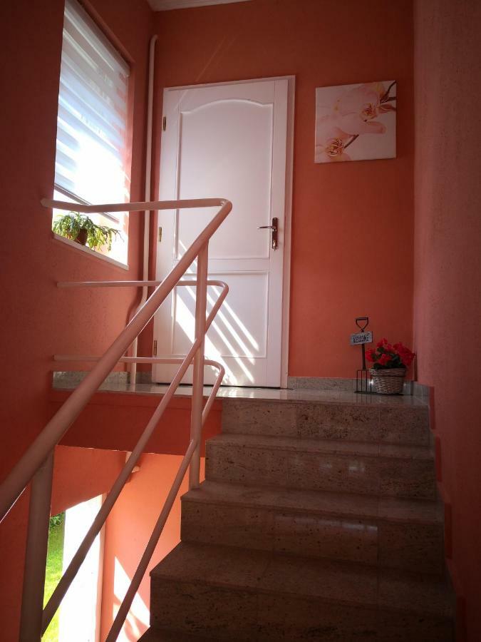 Kupola Apartman Szeged Buitenkant foto
